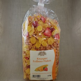 Bio Früchte Hafer Porridge