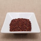 BIO-Brokkolisamen gekeimt